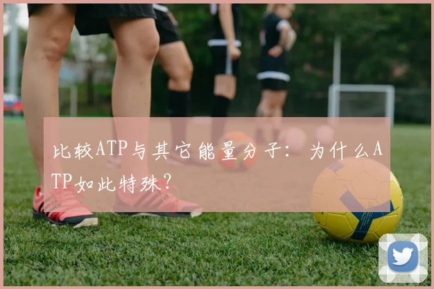 比较ATP与其它能量分子：为什么ATP如此特殊？