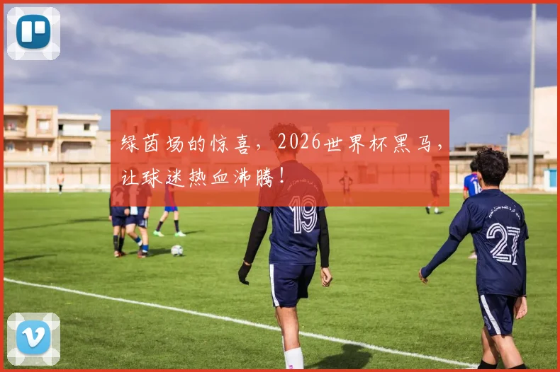 绿茵场的惊喜,2026世界杯黑马,让球迷热血沸腾!