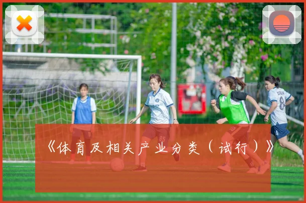 《体育及相关产业分类（试行）》