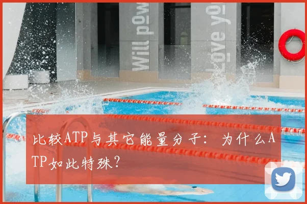 比较ATP与其它能量分子：为什么ATP如此特殊？