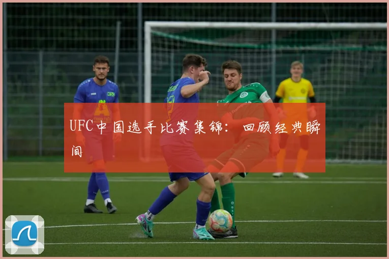 UFC中国选手比赛集锦：回顾经典瞬间