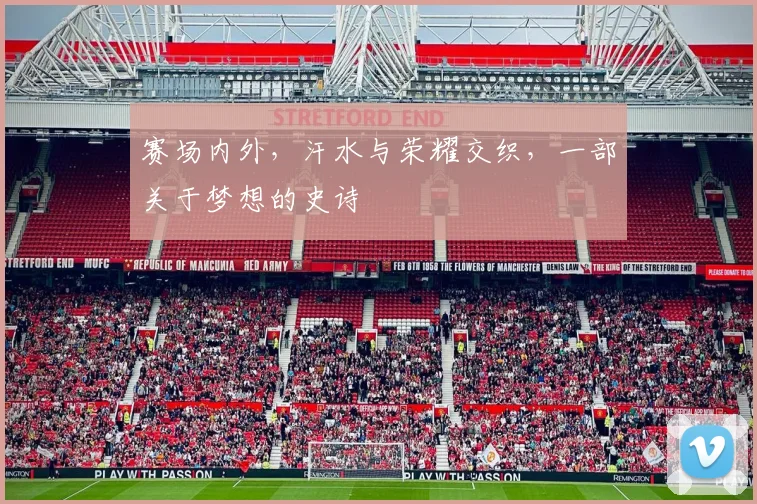 赛场内外,汗水与荣耀交织,一部关于梦想的史诗