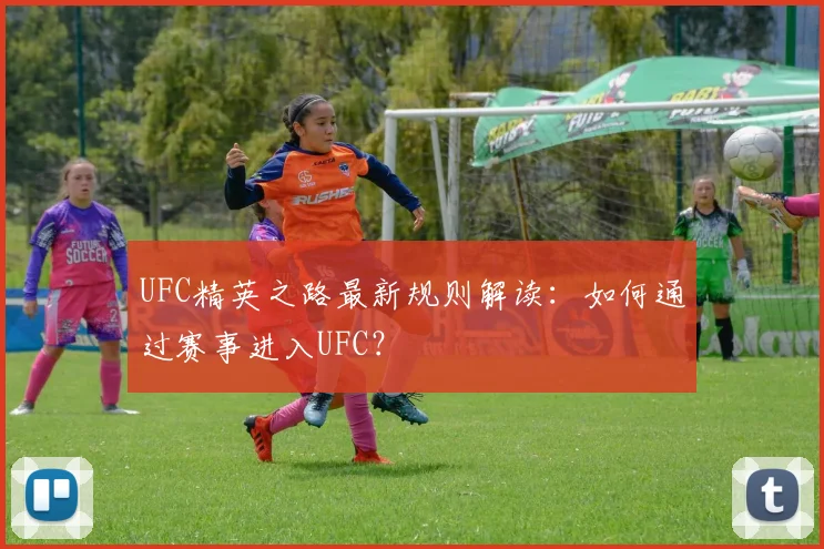 UFC精英之路最新规则解读:如何通过赛事进入UFC?