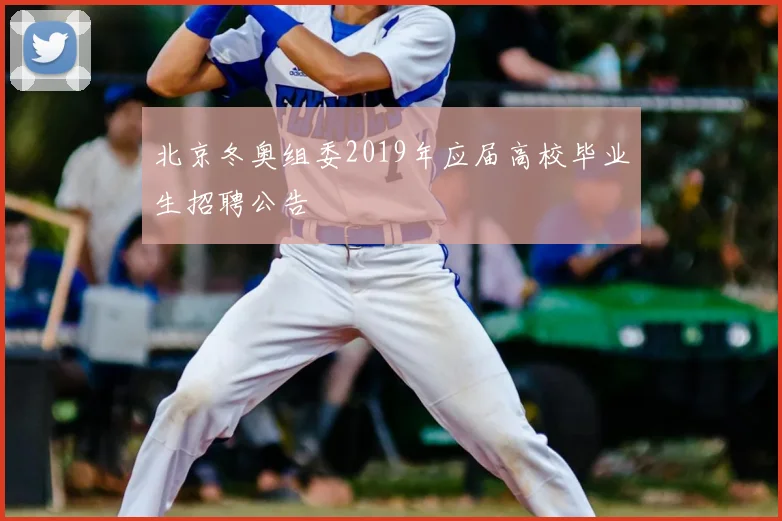 北京冬奥组委2019年应届高校毕业生招聘公告