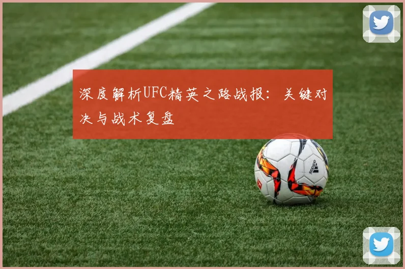 深度解析UFC精英之路战报：关键对决与战术复盘