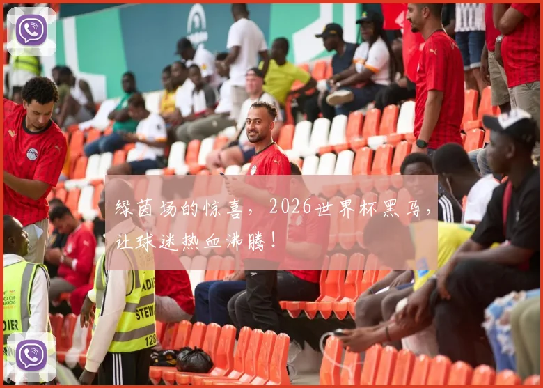 绿茵场的惊喜，2026世界杯黑马，让球迷热血沸腾！